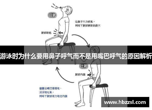 游泳时为什么要用鼻子呼气而不是用嘴巴呼气的原因解析