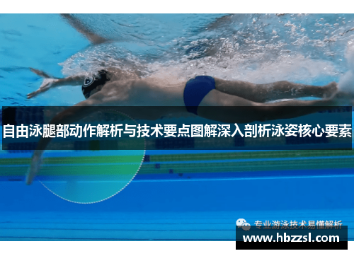 自由泳腿部动作解析与技术要点图解深入剖析泳姿核心要素